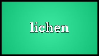 Lichen Meaning [upl. by Cirdec]