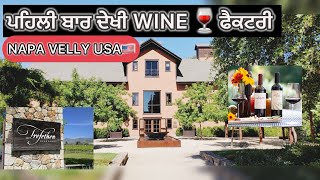 TREFETHEN WINERY ਚ ਲੋਕ ਆਉਂਦੇ ਫ੍ਰੀ ਦੀ WINE 🍷 ਪੀਣ ।Trefethen winery napa velly USA 🇺🇸 [upl. by Ailil]