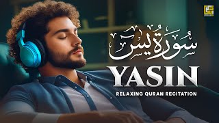 Surah Yasin Yaseen سورة يس  Relaxing calming Heart touching soft voice  Zikrullah TV [upl. by Valsimot263]