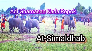 ADI GHAMASAN KADA ROPOK AT SIMALDHAB [upl. by Anecuza]