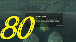 Ridgeland Korok Seeds Part 1  Zelda Breath of the Wild 100 Walkthrough quot80127quot No Commentary [upl. by Ahsimrac]