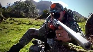 Hunting three deer with Ruger 204 neck shot for venison recovery in New Zealand  94 [upl. by Otnas220]