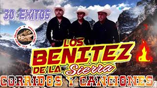 Los Benitez Dela Sierra 30 Exitos Puros Corridos Mix [upl. by Adolpho]