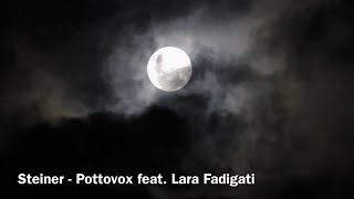 Steiner • pottovox music steiner [upl. by Adnorat269]