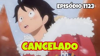 One Piece 1123 ENTENDA por que o anime entrou em HIATO [upl. by Eatnuahc]