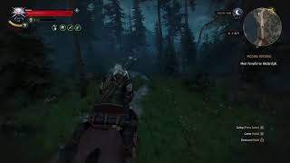 The Witcher 3 Death March Difficulty Lets Play Part 24 [upl. by Toll]