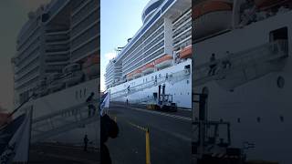 MSC Preziosa😯 luxurycruise cruiseship cruiselovers travel cruisegoals europe cruiselife [upl. by Hardigg]