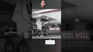 Green screenautomobile aeroplane amazingfacts factsinhindi new knowledge factsmine fact [upl. by Wiersma]