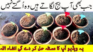 7 Biggest Mistakes for which Your Plants are dead आखिर क्यों नही उगते आपके कीमती बीज seeds perfect [upl. by Paulette953]