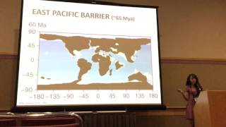 Bribiesca Macroevolutionary patterns in the diversification [upl. by Eadith]