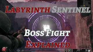 Remnant 2  Labyrinth Sentinel Boss Explained  Cube Boss [upl. by Camellia]