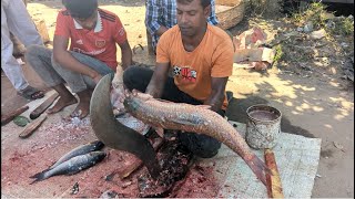 Amazing Giant Blood Carp Fish Cutting By Expert Fish Cutter  Fish Cutting Skills [upl. by Akihsar]