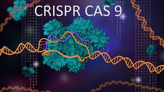 CRISPR CAS9  An Acquired immune system of bacteria explained [upl. by Jeffie]