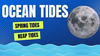 What Causes Ocean Tides Low Tide High Tide First Tide Second Tide Spring Tides Neap Tides [upl. by Aerised]