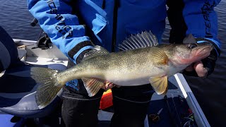 DISCOVERING  Early Spring Walleyes on the Menominee River [upl. by Selie]