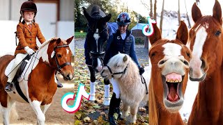 The Cutest HORSES  Equestrian TikTok Compilation 51 [upl. by Darcey]