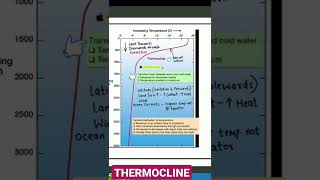 THERMOCLINE [upl. by Lucius368]