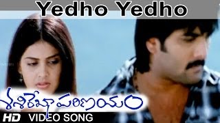 Sasirekha Parinayam Movie  Yedho Yedho Video Song  TarunGenelia [upl. by Ellezig217]