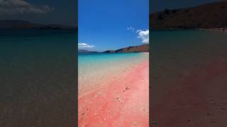 Pink Beach Komodo Island Worlds Most Beautiful travel travelblogger travelgram beachlife [upl. by Katusha]