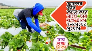 ফ্রান্সে কৃষিকাজ করে মাসে লক্ষ লক্ষ টাকা ইনকাম France Work Visa 2024 কৃষি অর্থনীতির দেশ ফ্রান্স [upl. by Kacie774]