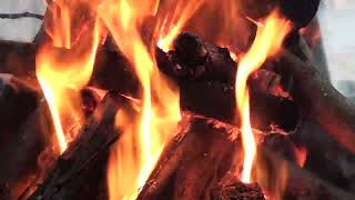 fire bonfire flame fire video effects [upl. by Azila281]