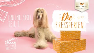 Online Spot 2023  Die Fressperten  VetConcept [upl. by Aneertak]