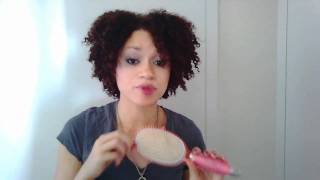 Brush Comparison Mason Pearson Detangler vs Tangle Teezer vs Paddle Brush vs Denman [upl. by Mota]