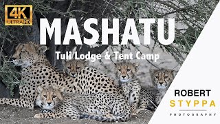 Discover Mashatu Game Reserve Tuli Lodge Tented Camp amp Lala Limpopo Hide in Botswana [upl. by Drusie]