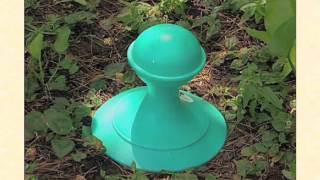 Refillable ant bait stations [upl. by Laird]