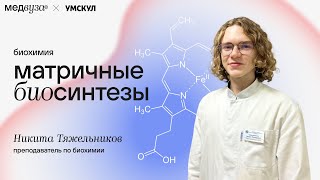 Матричные биосинтезы I Биохимия [upl. by Ocsirf]