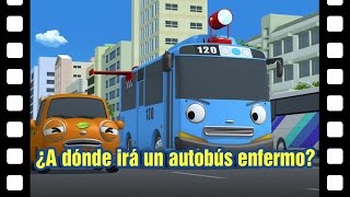 ¿A dónde irá un autobús enfermo l Teatro de Tayo 12 l Tayo el pequeño Autobús Español [upl. by Leunamnauj]