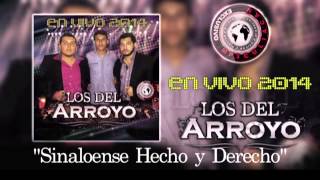 Los Del Arroyo en vivo 2014 [upl. by Jorrie]