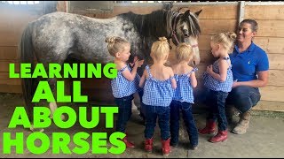 QUADRUPLET FIRST HORSEBACK RIDING LESSON [upl. by Siskind]