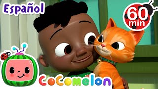 Las mascotas  ¡CoComelon  Canciones Infantiles en Español Latino [upl. by Nednal]