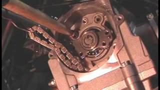 Yamaha Raptor 700R Cam Installation Part 2 [upl. by Aralk]