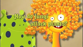 Fungicide No 2 How Do Fungi Attack Plants [upl. by Leirbma551]