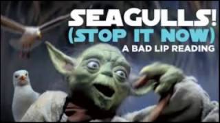 Seagulls Stop it Now by Bad Lip Reading [upl. by Richara]