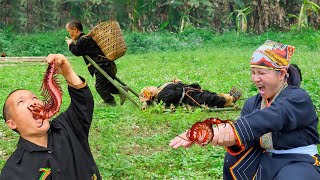 Dwarf Family Harvesting Wild Bananas During Attack Of Venomous Centipedes  Survival in the wild [upl. by Thrift]