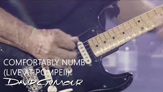 David Gilmour  Comfortably Numb Live At Pompeii [upl. by Ahsinroc]