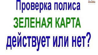 Как проверить действует ваш полис страхования Зеленая карта или нет [upl. by Enner]