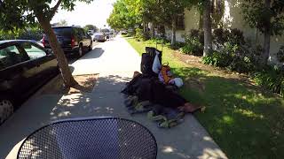 HOMELESS WOMAN BLOCKING SIDEWALK  Mobility Mary [upl. by Seaddon522]