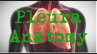 PleuraAnatomysimpledetaileddiagramsclinical lung covering [upl. by Jelks]