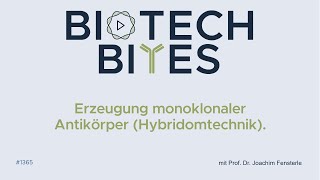 BiotechBites  Erzeugung monoklonaler Antikörer Hybridomtechnik [upl. by Schuh325]