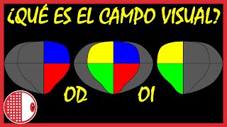 👁️💊 Qué es el campo visual 👀 CuadrantanopsiasHemianopsias  Repaso de Oftalmología 2020 [upl. by Siuqaj712]