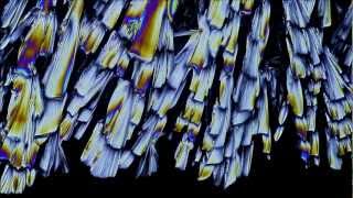 Timelapse of Crystals Growing [upl. by Nevram]