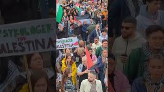 ProPalestine protests in Sweden against Israel’s Eurovision inclusion [upl. by Aivalf672]