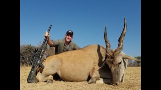 Umarex Hammer Airgun vs Eland at Matswani Safaris in South Africa [upl. by Afatsuom943]