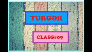 TURGOR  Class9  Chap4 [upl. by Notyap267]