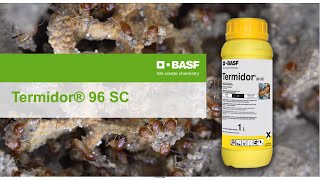 Termite Control with BASF Termidor [upl. by Adiazteb]