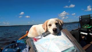 Canoe Camping  8 days on Canadas Dumoine River [upl. by Lossa]